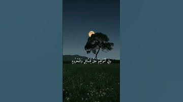 تلاوة خاشعة جميله ارح سمعك وقلبك ❤ #ارح_قلبك #قرآن #quran #اكسبلور