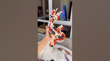 Making Koi fish 🐠 Papier Mache #diy #diycrafts #diyprojects