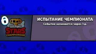 Лучшие пики для чемпионата 😱