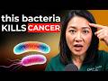 "This Food Can STOP INFLAMMATION &amp; Starve Cancer!" - What You NEED TO KNOW! | Dr. Leana
