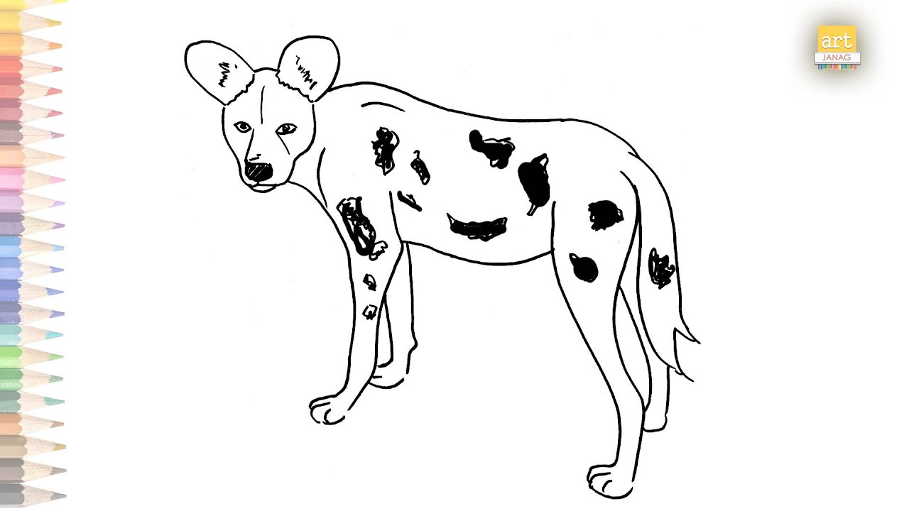 African Wild Dog Drawing Easy | How To Draw African Wild Dog Step By Step -  Youtube