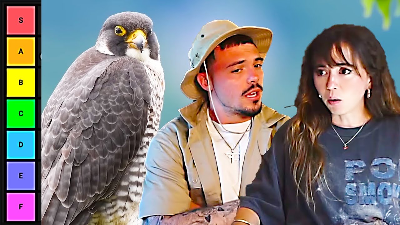 Reacting to The Bird Tier List by TierZoo W/ Adapt!