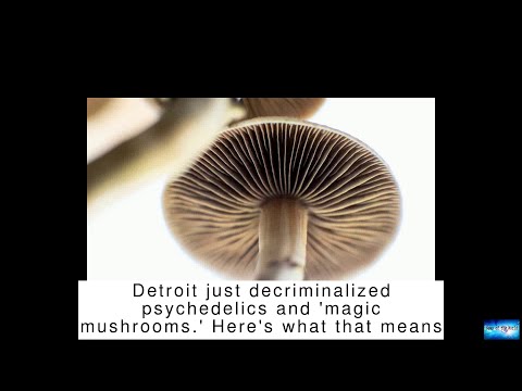 Detroit just decriminalized psychedelics and 'magic mushrooms.' Here's what that means