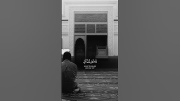 #خالد_الجليل 🤍🤍#قران_كريم #قرآن #تلاوة_خاشعة #اكسبلور#quran