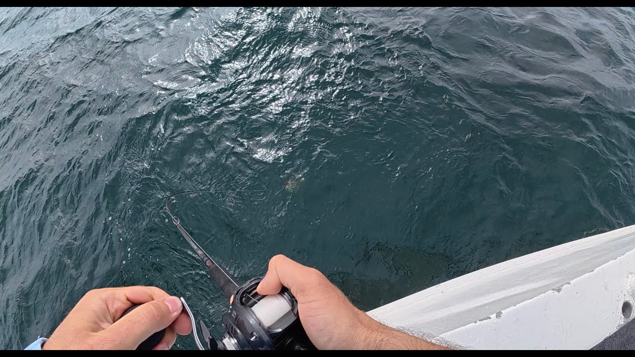 Party Boat Fluke Limit Ocean Explorer