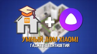 Умный дом Xiaomi - гаджет десятилетия. feat Алиса