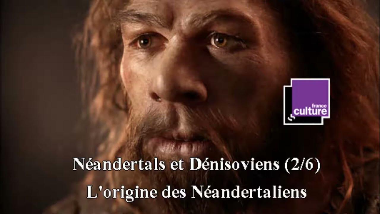 Néandertals et Dénisoviens (2/6) : L'origine des Néandertaliens - YouTube