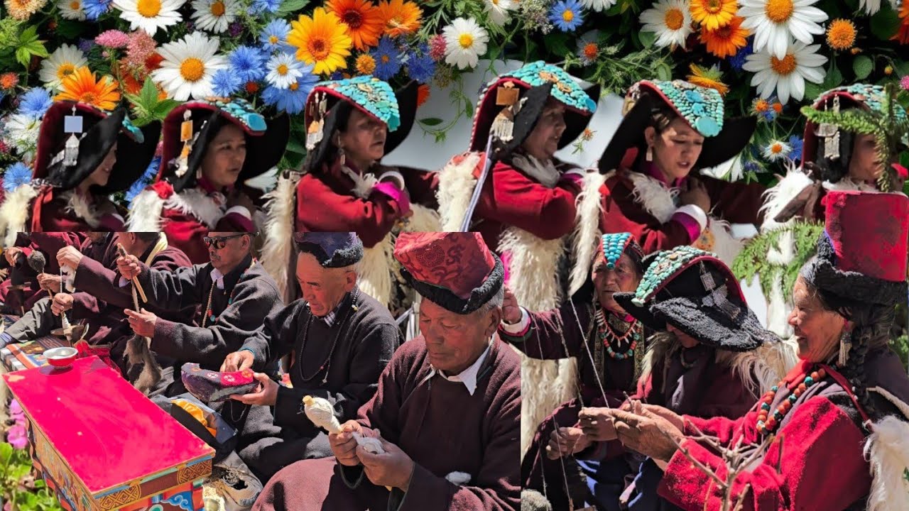 🌸 Apricot Blossom Festival at alchi village 🌸🌸🌸 4K  👌