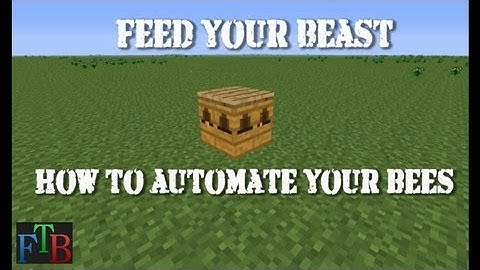 How to automate your bees