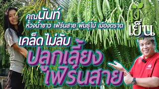 เคล็ดไม่ลับปลูกเลี้ยงเฟิร์นสาย โดยคุณนันท์ จากสวนห้วงน้ำขาว เฟิร์นสาย พันธ์ุไม้ เมืองตราด