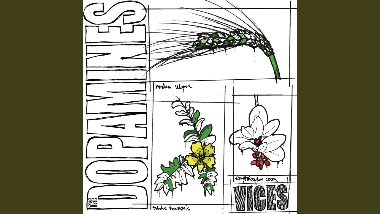 Watch Vices on YouTube Watch Vices on YouTube