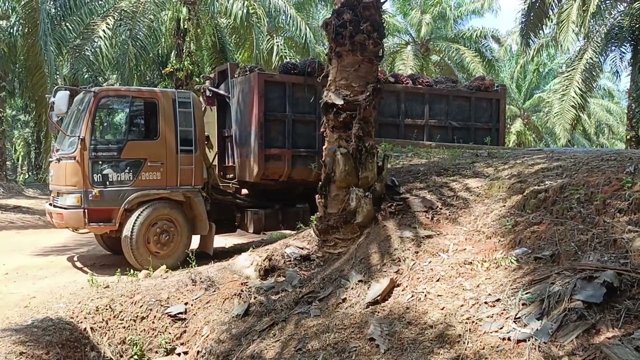 ยกเร็วมากครับคันนี้