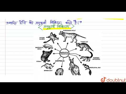 वीडियो: अनुकूली प्रश्न क्या हैं?