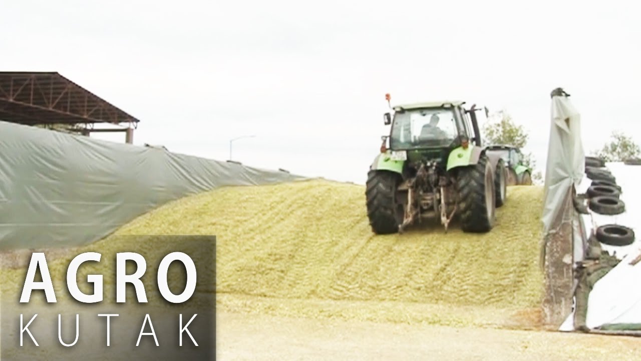 Agro Kutak 26 - Silaža