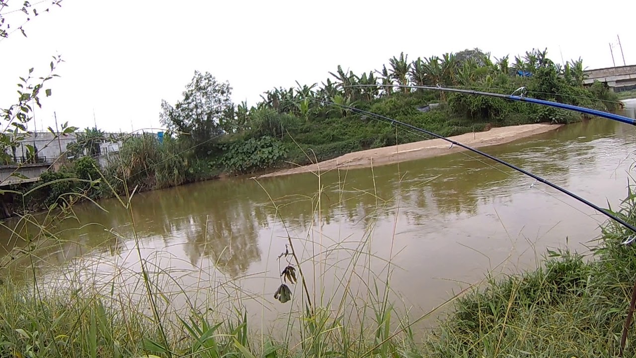 memancing lampam di pondok tanjung