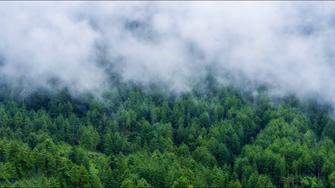 Calm Around | Beautiful Chill Mix
