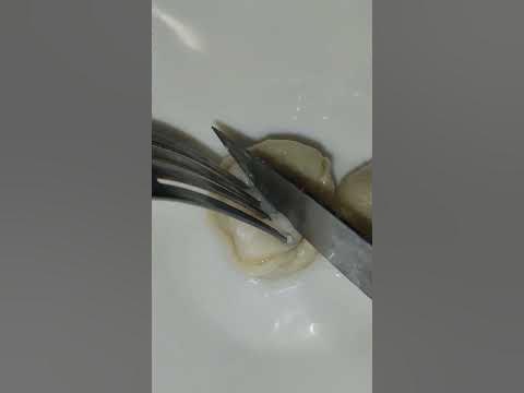 Пробую пельмени из марала - YouTube