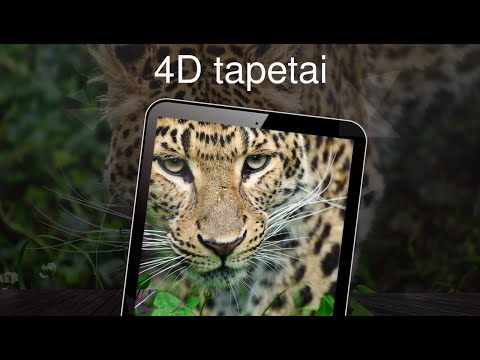 4D tapetai 4k