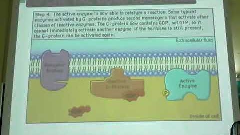 Duoc Ly 1 C1 B2 2 Cơ chế tác động của thuốc