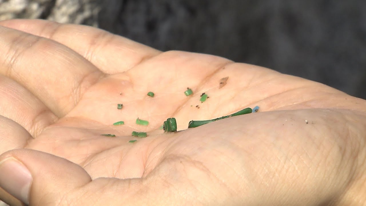 【スクープ】海を汚染する『マイクロプラスチック』　ストローやポリ袋だけじゃない　“人工芝”や“肥料”も発生源に（2019年12月5日）