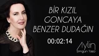 Aylin Şengün Taşcı - Bir Kızıl Goncaya Benzer Dudağın