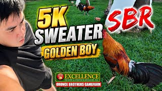 5K x GOLDEN BOY | SBR | EARLYBIRD | FARM DAILY | ORONCE BROTHERS GAMEFARM | BAKAS BAKAS GAMEFARM