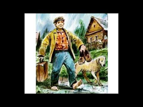 В. М. Шукшин.