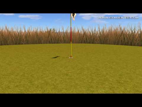 Golden Tee Great Shot on Bonnie Moor!