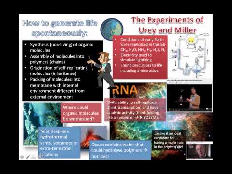 Origin of Life on Earth (IB Biology)