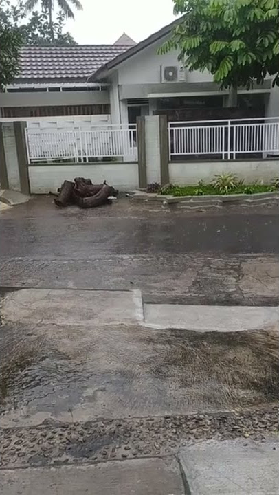 Story wa hujan, Sabtu 12 Februari 2022