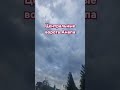 8 сентября 2024 г.