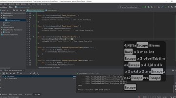 Golang TDD Kata with Goland and ideavim #10