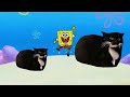 Dancing Cat Maxwell And SpongeBob Squarepants 