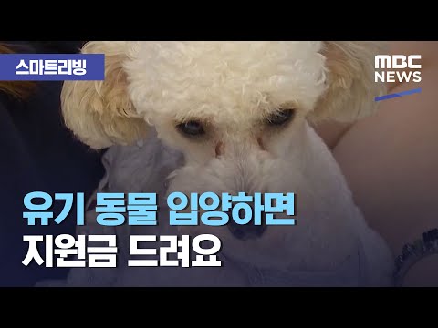 [스마트 리빙] 유기 <strong>동물</strong> 입양하면 지원금 드려요 (2020.11.20/뉴스투데이/<strong>MBC</strong>)