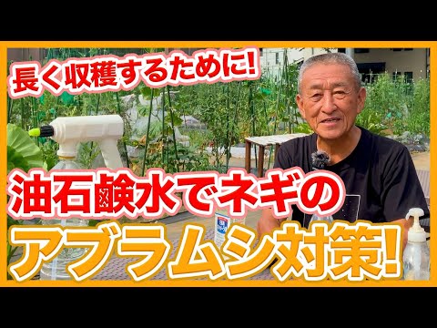 使いかけ石鹸の庭での5つの使い方でお金を節約