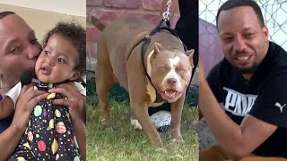 Toddler Left Alone With Three Pit Bulls Fatally Mauled