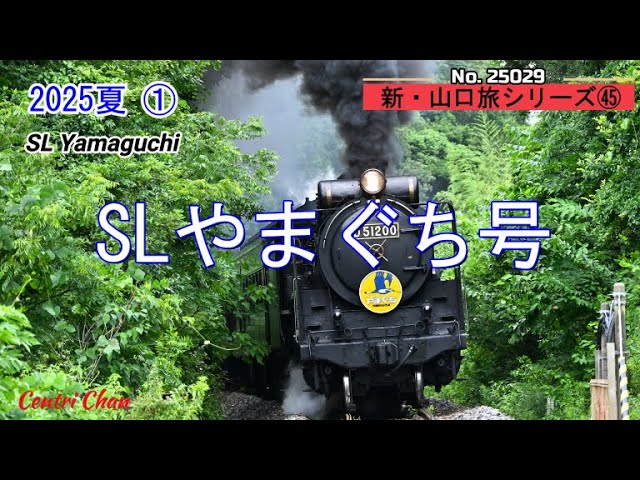 全国百線鉄道の旅 SLやまぐち号と山口線・リゾート特急で行く伊勢志摩 [DVD] SLやまぐち号と山口線／リゾート特急でいく伊勢志摩（DVD）
