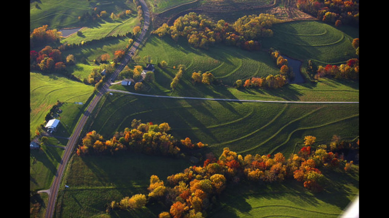 The New Patrons of Husbandry: Only Love