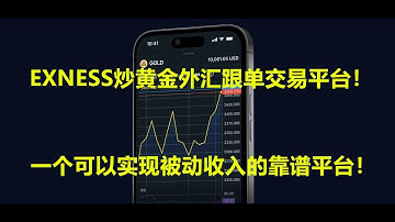如何选择好的外汇平台，确保资金安全+低点差，低交易成本才是王道，炒黄金，炒外汇，外汇交易跟单，外汇EA，无限多开，普通人也能躺着就把钱赚了，打造真正的被动收入！