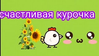 СУМАСШЕДШАЯ КУРИЦА В ИГРЕ счастливая курочка screenshot 4