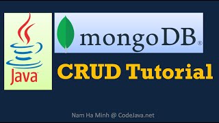 Java MongoDB CRUD Operations Tutorial screenshot 4