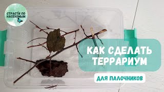 Как сделать террариум для палочников