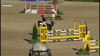 Maestro RLE Millstreet boomerang 5yr old Ruby championship