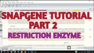 Restriction cloning snapgene II xgene and proteinx