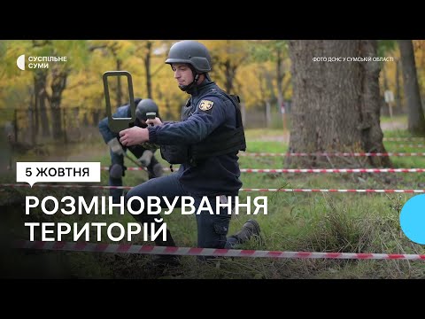 Суспільне Суми: Пошук російських снарядів. У Тростянці піротехніки обстежать ділянку площею три гектари Суспільне Суми: Пошук російських снарядів. У Тростянці піротехніки обстежать ділянку площею три гектари