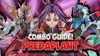 NEW PREDAPLANT SUPPORT COMBO GUIDE | Master Duel, TCG & OCG Decklists