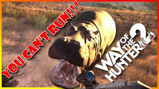 I Barely Survived my first Hunting trip to Africa in Way of the Hunter 2!