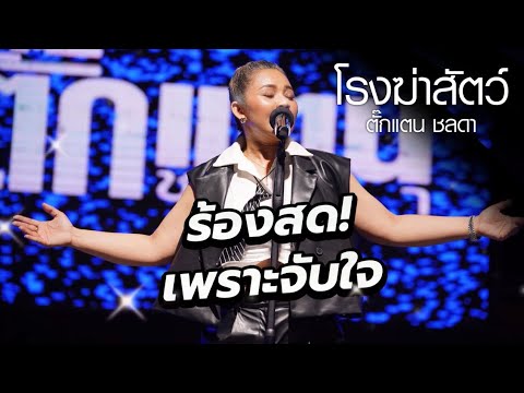 โรงฆ่าสัตว์ - ตั๊กแตน ชลดา | ￼งานสืบสานประเพณีสารทเดือนสิบ ครั้ง9 บริเวณสี่แยกตลาดบางปะอิน
