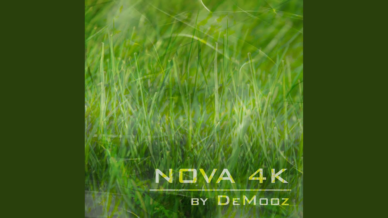 Mongi adlı videoyu YouTube'da izle Mongi adlı videoyu YouTube'da izle