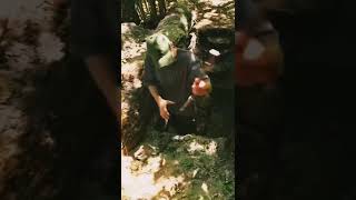 100kg wood → Secret Forest Shelter#SurvivalSkils #ForestBuild #HiddenShelter #NatureLife #DIYProject